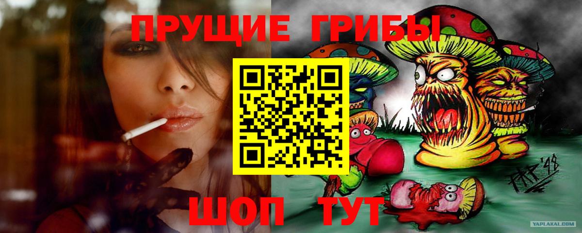 Псилоцибиновые грибы Psilocybe  Вход с VPN  Томск  Псилоцибиновые грибы мухоморы 